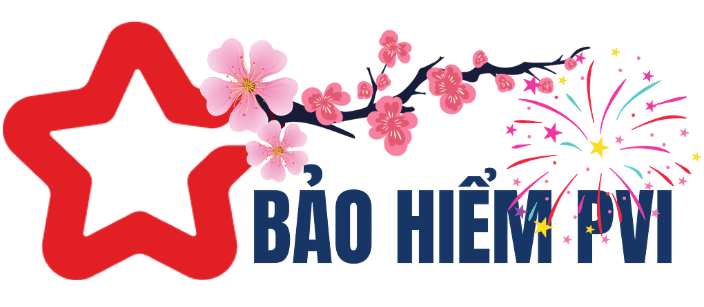 BẢO HIỂM PVI